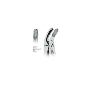 Extracting Forceps Fig. 20 – Serrated Tips for Lower Third Molars – Precision Dental Extraction Instrument