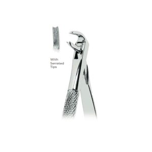 Trotter Extracting Forceps Fig. 169 – Serrated Tips for Lower Canines – Precision Dental Extraction Instrument