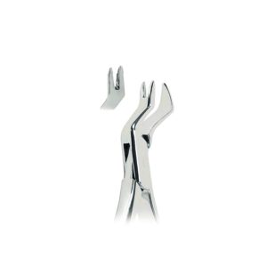 Nevius Extracting Forceps Fig. 88R – American Pattern for Upper Molars (Right) – Precision Dental Extraction Instrument