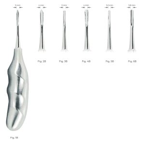 Bein Root Elevator with Anatomical Handle 4mm Fig. 2B – Durable Dental Instrument for Precise Root Elevation and Extraction