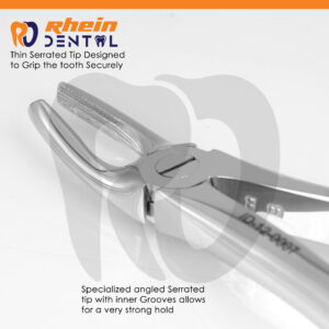Dental Tooth Extraction Forceps Fig. 7 – Polished Surface for Upper & Lower Teeth – Professional Dental Instrument