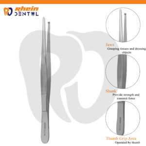 High-quality 15 cm tooth forceps made of stainless steel for safe and precise tooth extraction. Ergonomic design ensures optimal leverage, reusable, and autoclavable. Ideal for dentists and oral surgeons in Pakistan.